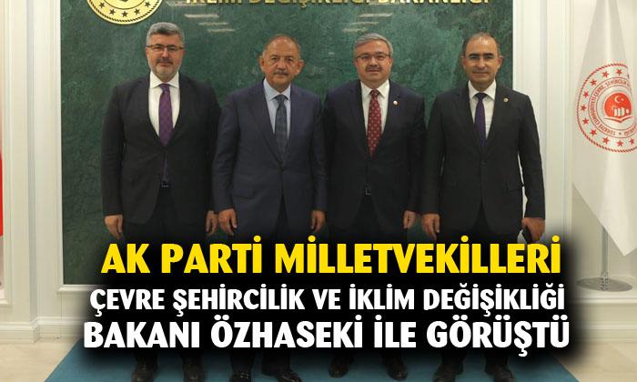 AK Parti Milletvekillerinden Çevre Şehircilik ve İklim Değişikliği Bakanı Mehmet Özhaseki ile görüştü