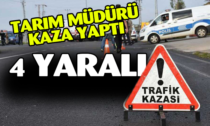 Tarım Müdürü Kaza Yaptı