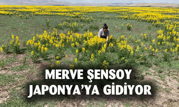Şensoy, Eber sarısından ALS ilacı için Japonya’ya gidiyor