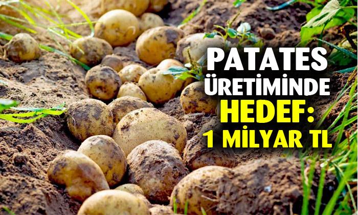Afyonkarahisar’da patates hasadında hedef: 1 milyar TL