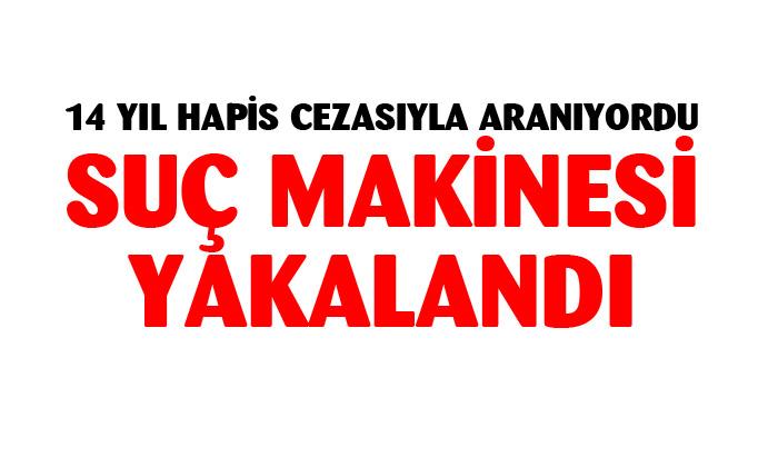 Afyon’daki suç makinesi yakalandı