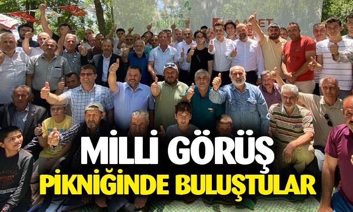 Partililer millî görüş pikniğinde buluştu 