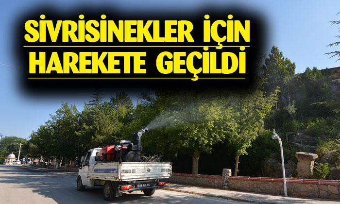 İlaçlama çalışmaları devam ediyor