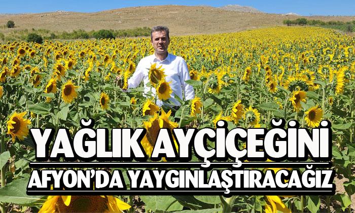 Tarım ve Orman İl Müdürü İbrahim Acar: “Yağlık ayçiçeğini Afyonkarahisar’da yaygınlaştıracağız”