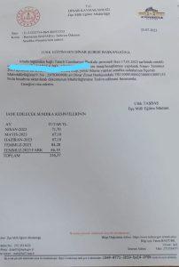 Dinar’da revizyon şart