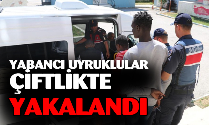 Yabancı Uyruklular Çiftlikte Yakalandı