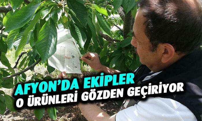 Ürün kontrolleri devam ediyor