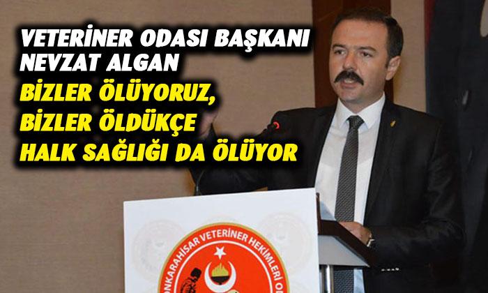 Veteriner Hekimler Odası Başkanı Nevzat Algan: Kamuda veteriner hekimlik otoritesinin güçlendirilmesi gerekiyor