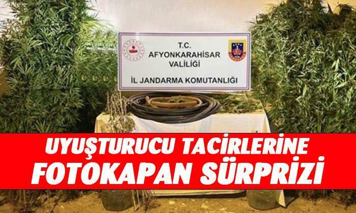 Afyonkarahisar’da fotokapan sürprizi