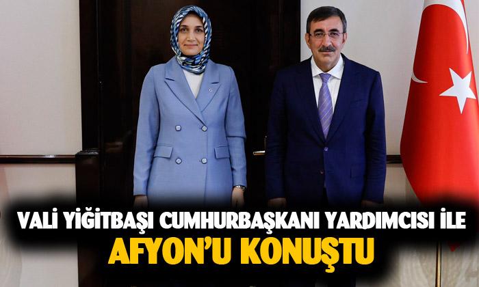 Vali Yiğitbaşı, Cumhurbaşkanı Yardımcısı ile görüştü