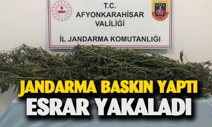 Afyonkarahisar’da esrar yakalandı 