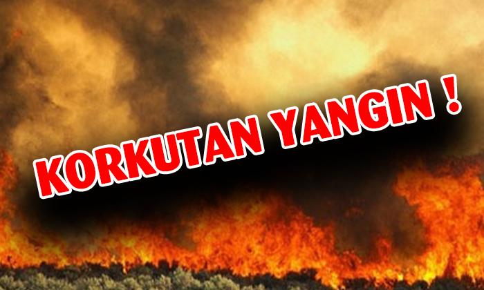 Korkutan Yangın