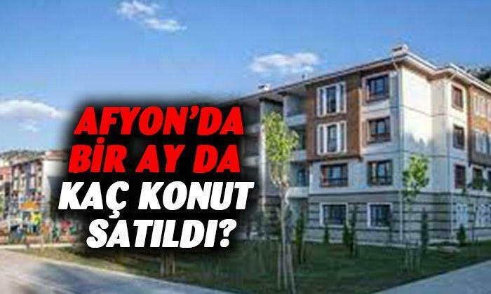 Afyon’da bir ay da kaç konut satıldı ?