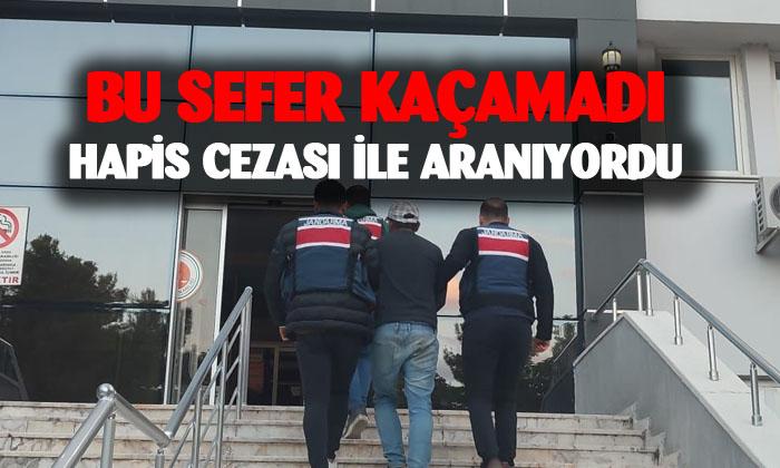Hapis cezasıyla aranan şahsı jandarma yakaladı