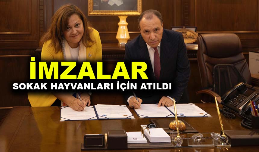 Sokak hayvanları için protokol imzalandı