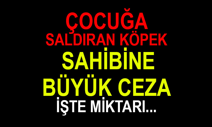 Afyonkarahisar’da köpek sahibine ceza yazıldı