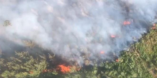 Antalya’da İki Bölgede Orman Yangını