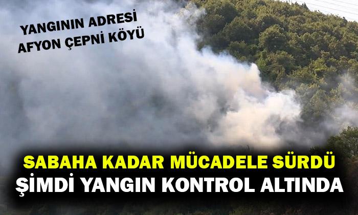 Çepni köyü yangınında soğutma çalışmaları devam ediyor