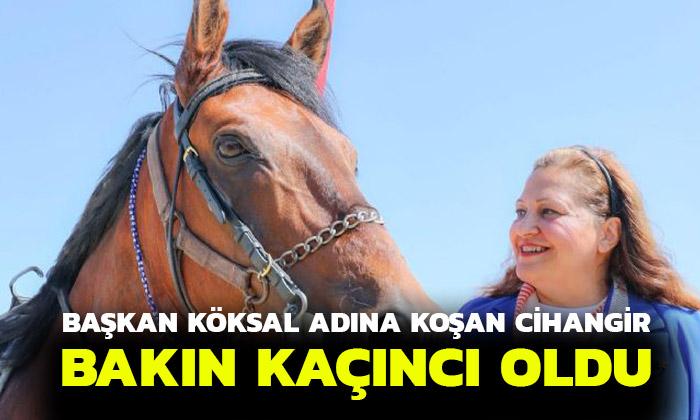 Başkan Köksal adına koşan at kaçıncı oldu?