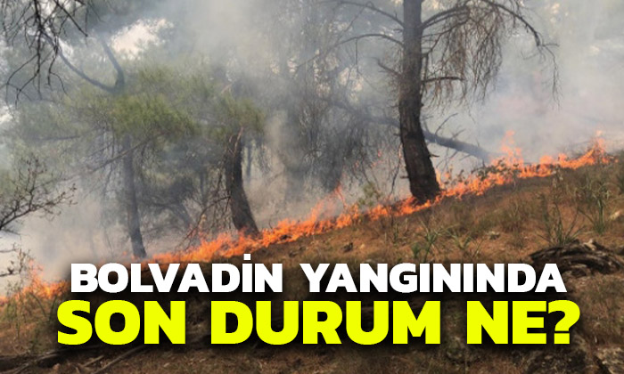 Bolvadin’de yangın ne durumda?