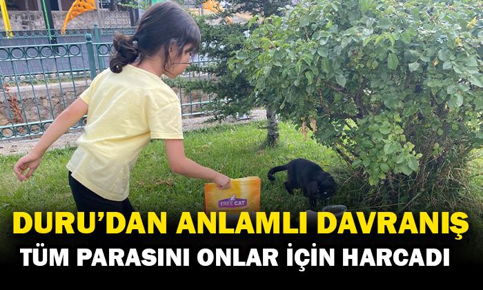 6 Yaşındaki Duru’dan Sokak Hayvanlarına Duyarlı Dokunuş