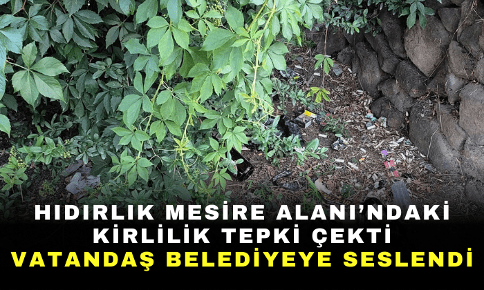 Hıdırlık Mesire Alanı’ndaki kirlilik tepki çekti! Vatandaş belediyeye seslendi