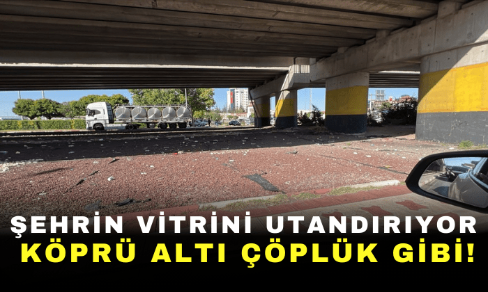 Şehrin Vitrini Utandırıyor;  Köprü Altı Çöplük Gibi!