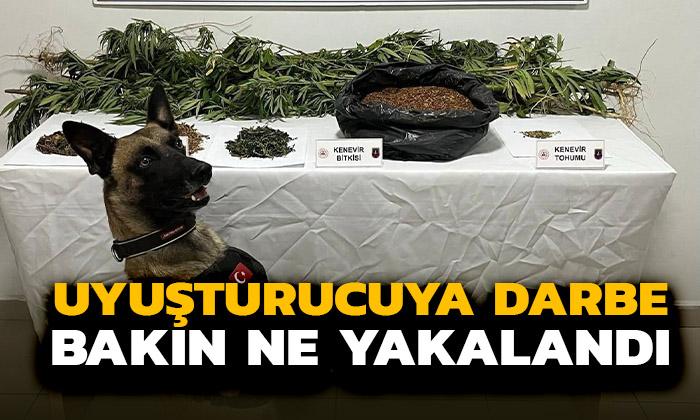 Afyon’da Uyuşturucuya Büyük Darbe