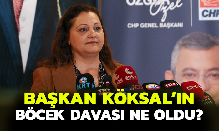 Afyonkarahisar Belediye Başkanı Burcu Köksal böcek davası ne oldu?
